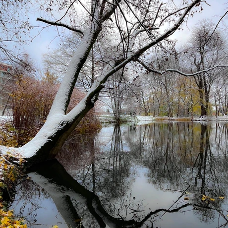 Zima 2023. Pierwszy śnieg w Rzeszowie [Park im. Szafera] - fot 15